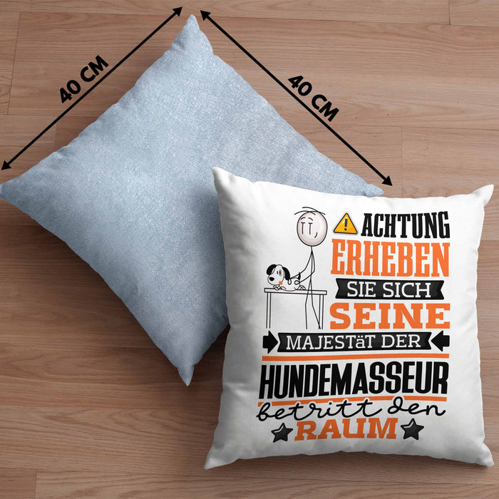 Hundemasseur Geschenk Kissen mit Füllung 40x40 Lustiger Spruch Erheben Sie Sich Der Hundemasseur Betritt den Raum (Grau) Blau Trendation