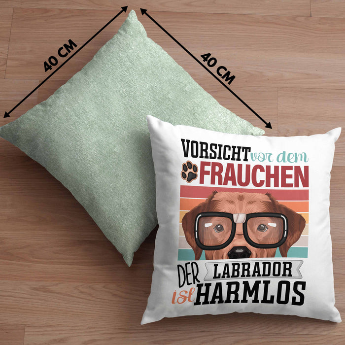 Labrador Besitzerin Frauchen Kissen mit Füllung 40x40 Geschenk Lustiger Spruch Geschenkidee Vorsicht Vor Dem Frauchen (Grau) Grün Trendation