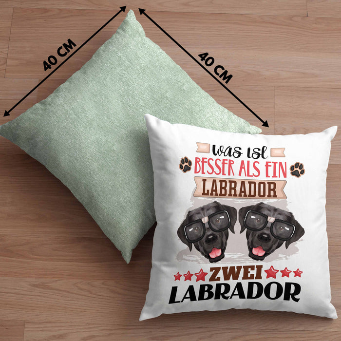 Labrador Besitzer Kissen mit Füllung 40x40 Geschenk Lustiger Spruch Geschenkidee Was Ist Besser Als Ein Labrador (Grau) Grün Trendation