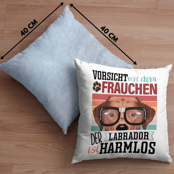 Labrador Besitzerin Frauchen Kissen mit Füllung 40x40 Geschenk Lustiger Spruch Geschenkidee Vorsicht Vor Dem Frauchen (Grau) Blau Trendation