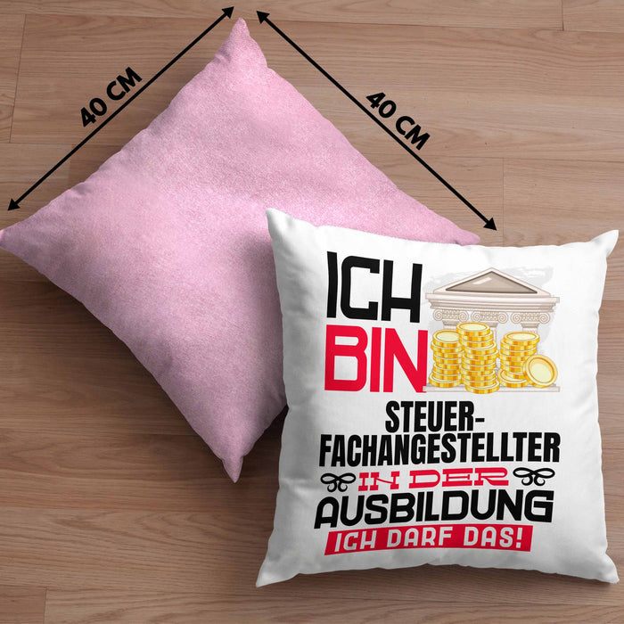 Steuerfachangestellter Ausbildung Kissen mit Füllung 40x40 Geschenk Ich Bin Steuerfachangestellter In Der Ausbildung Ich Darf Das Geschenkidee Spruch (Grau) Rosa Trendation