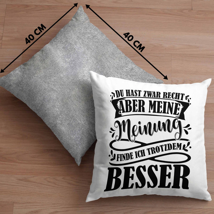 Du Hast Zwar Recht Aber Meine Meinung Finde Ich Trotzdem Besser Kissen mit Füllung 40x40 Geschenk Lustiger Spruch Häferl (Grau) Grau Trendation