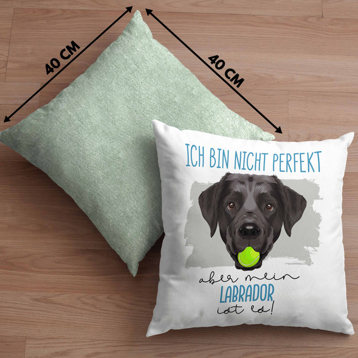 Labrador Besitzer Kissen mit Füllung 40x40 Geschenk Lustiger Spruch Geschenkidee Besitzerin Ich Bin Nicht toll Aber Mein Labrador Ist Es (Grau) Grün Trendation