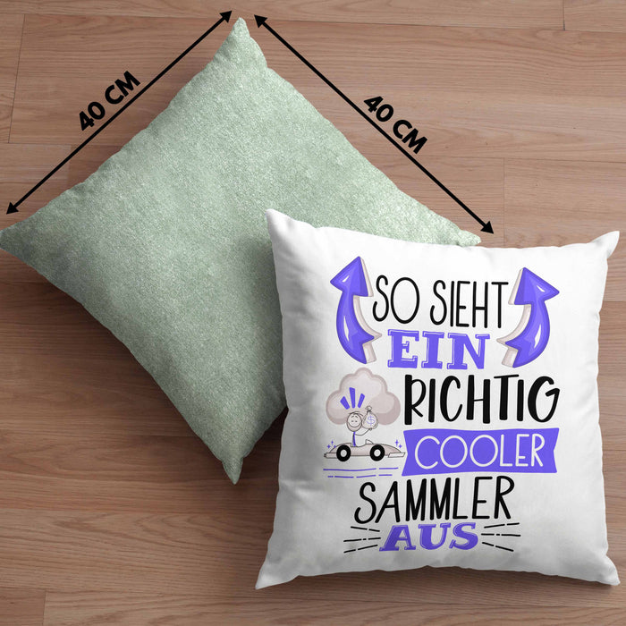 So Sieht Ein Richtig Cooler Sammler Aus Geschenk Kissen mit Füllung 40x40 Lustiger Spruch Geschenkidee (Grau) Grün Trendation