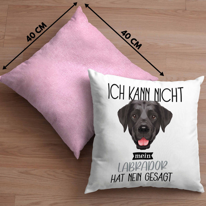 Labrador Besitzer Kissen mit Füllung 40x40 Geschenk Lustiger Spruch Geschenkidee Ich Kann Nicht Mein Labrador Hat Nein Gesagt (Grau) Rosa Trendation