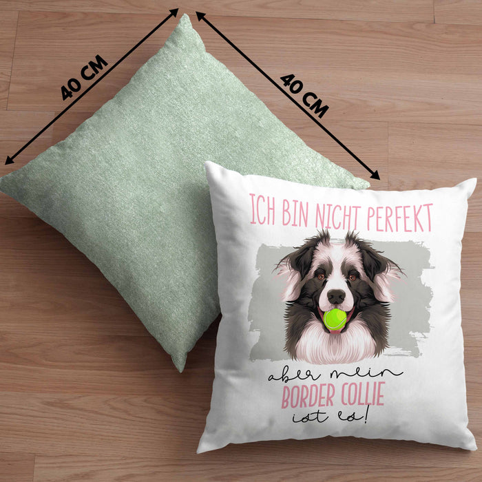 Border Collies Besitzer Kissen mit Füllung 40x40 Geschenk Lustiger Spruch Geschenkidee Besitzerin Ich Bin Nicht toll Aber Mein Border Collies Ist Es (Grau) Grün Trendation