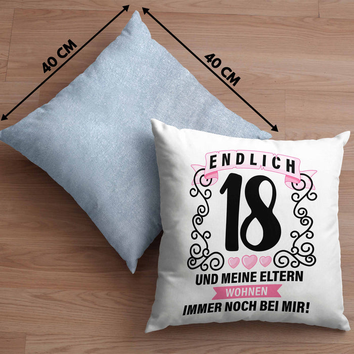 18er Geburtstag Kissen mit Füllung 40x40 Geschenk Mädchen Jungen Geschenkidee Lustig Spruch 18 Geschenke Geschenkideen zum 18 Bday 18. (Grau) Blau Trendation