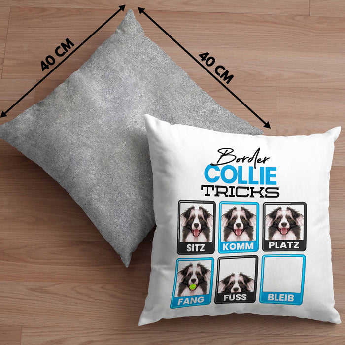 Border Collies Besitzer Kissen mit Füllung 40x40 Geschenk Lustiger Spruch Geschenkidee Border Collies Tricks Bleib (Grau) Grau Trendation