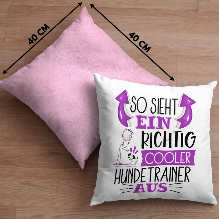 Hundetrainer Kissen mit Füllung 40x40 So Sieht Ein Richtig Cooler Hundetrainer Aus Geschenk Lustiger Spruch Geschenkidee (Grau) Rosa Trendation