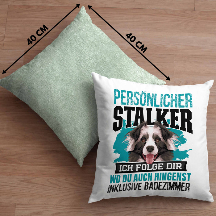 Border Collie Kissen mit Füllung 40x40 Geschenk Hundebesitzer Bordercollie Geschenkidee Kaffee-Kissen mit Füllung 40x40 Persönlicher Stalker (Grau) Grün Trendation