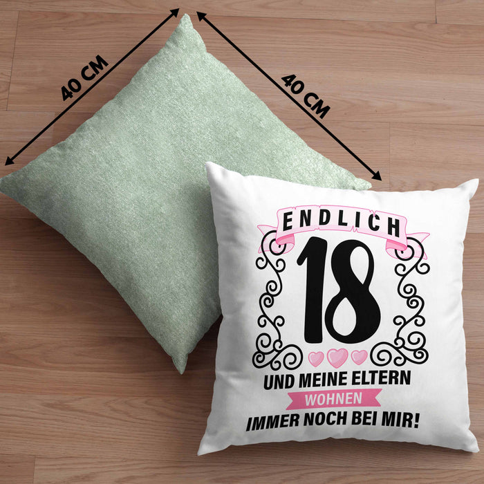 18er Geburtstag Kissen mit Füllung 40x40 Geschenk Mädchen Jungen Geschenkidee Lustig Spruch 18 Geschenke Geschenkideen zum 18 Bday 18. (Grau) Grün Trendation