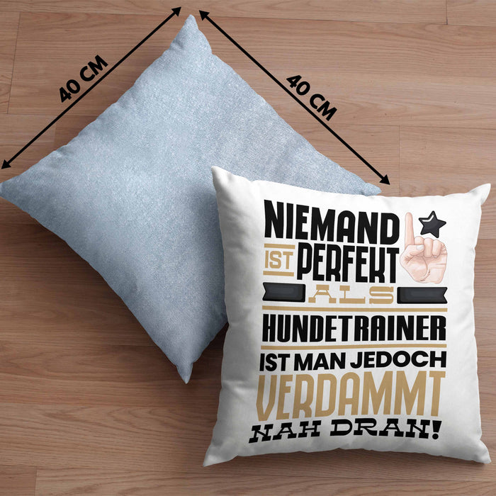 Hundetrainer Geschenk Kissen mit Füllung 40x40 Lustige Geschenkidee für Hundetrainer Geburtstag Niemand Ist Perfekt Aber Als Hundetrainer Ist Man Nah Dran (Grau) Blau Trendation