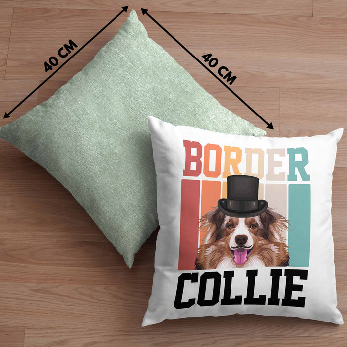 Border Collies Besitzer Kissen mit Füllung 40x40 Geschenk Lustiger Spruch Geschenkidee Retro Vinatge Border Collies (Grau) Grün Trendation