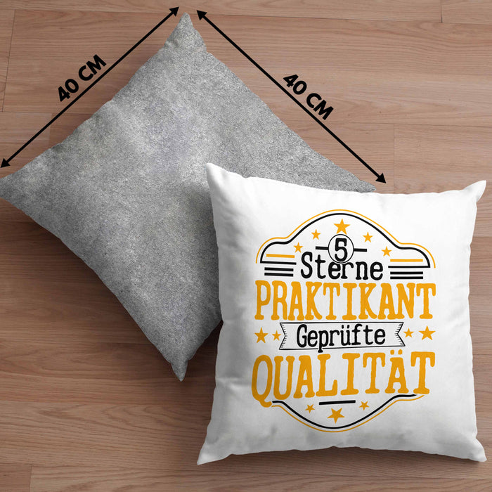 Praktikant Kissen mit Füllung 40x40 Geschenk Für Praktikanten Geschenkidee Geprüfte Qualität (Grau) Grau Trendation
