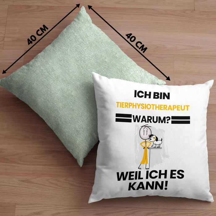 Tierphysiotherapeut Geschenk Kissen mit Füllung 40x40 Lustiger Spruch Ich Bin Tierphysiotherapeut Warum Weil Ich Es Kann Geschenkidee Bester Tierphysiotherapeut Geburtstag (Grau) Grün Trendation