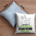 Pferdefreund Geschenk Kissen mit Füllung 40x40 So Gut Kann Nur Ein Pferdefreund Aussehen Geschenkidee (Grau) Blau Trendation