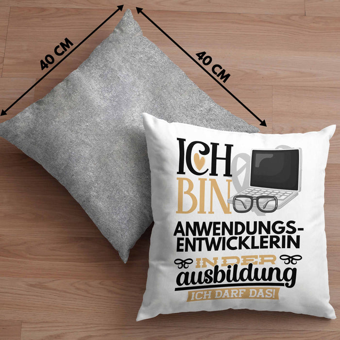 Anwendungsentwicklerin Ausbildung Start Geschenk Kissen mit Füllung 40x40 Ich Bin Anwendungsentwicklerin In Der Ausbildung Ich Darf Das Geschenkidee (Grau) Grau Trendation