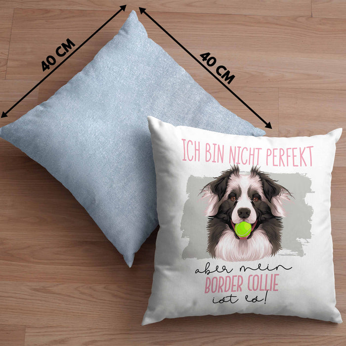 Border Collies Besitzer Kissen mit Füllung 40x40 Geschenk Lustiger Spruch Geschenkidee Besitzerin Ich Bin Nicht toll Aber Mein Border Collies Ist Es (Grau) Blau Trendation
