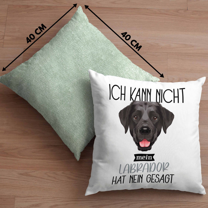Labrador Besitzer Kissen mit Füllung 40x40 Geschenk Lustiger Spruch Geschenkidee Ich Kann Nicht Mein Labrador Hat Nein Gesagt (Grau) Grün Trendation