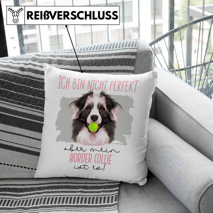 Border Collies Besitzer Kissen mit Füllung 40x40 Geschenk Lustiger Spruch Geschenkidee Besitzerin Ich Bin Nicht toll Aber Mein Border Collies Ist Es (Grau) Grün Trendation