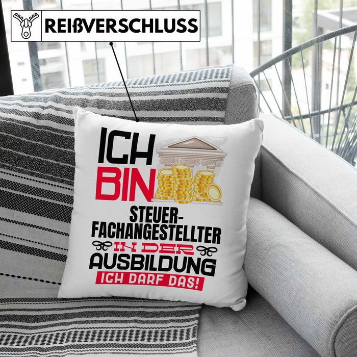 Steuerfachangestellter Ausbildung Kissen mit Füllung 40x40 Geschenk Ich Bin Steuerfachangestellter In Der Ausbildung Ich Darf Das Geschenkidee Spruch (Grau) Grau Trendation