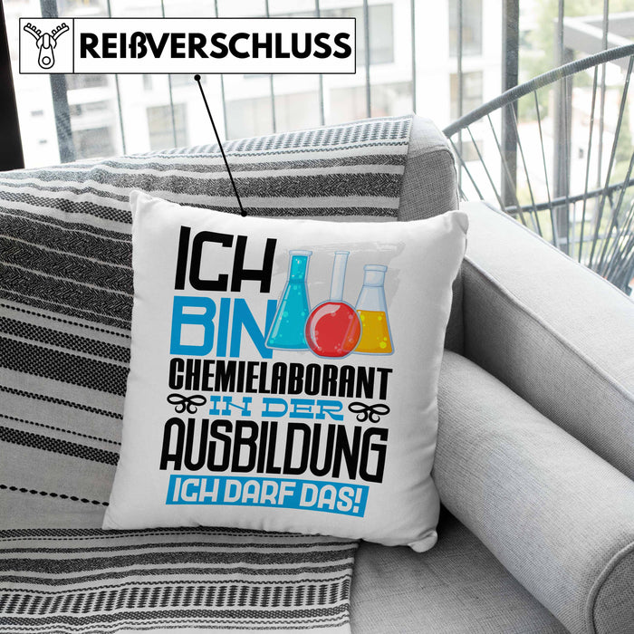 Chemielaborant Ausbildung Kissen mit Füllung 40x40 Geschenk Ich Bin Chemielaborant In Der Ausbildung Ich Darf Das Geschenkidee Spruch (Grau) Grün Trendation