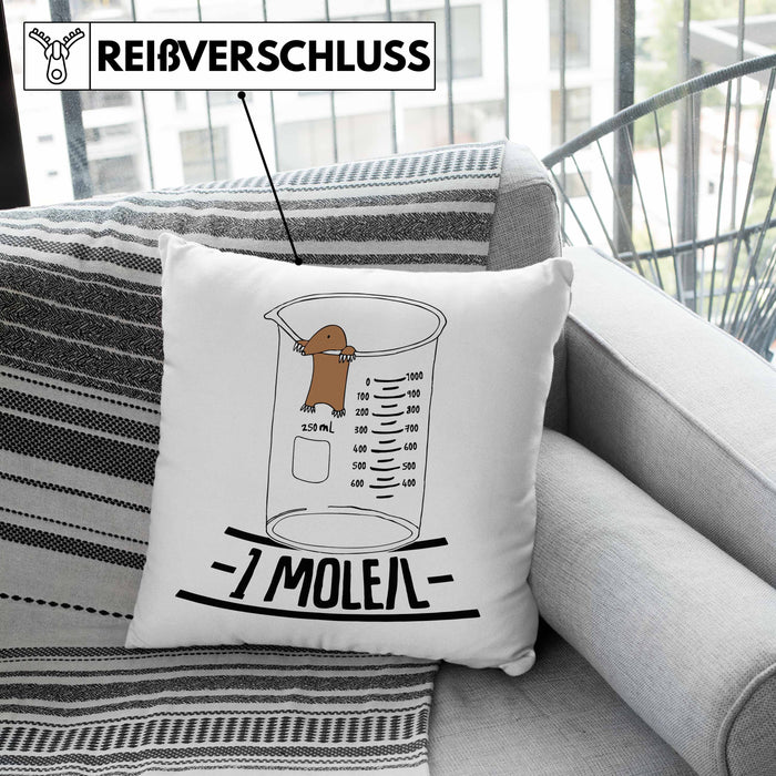 Chemiker Kissen mit Füllung 40x40 Lustiger Maulwurf Mole Per Liter Chemie Avogadro's Chemiker Kissen mit Füllung 40x40 (Grau) Grün Trendation