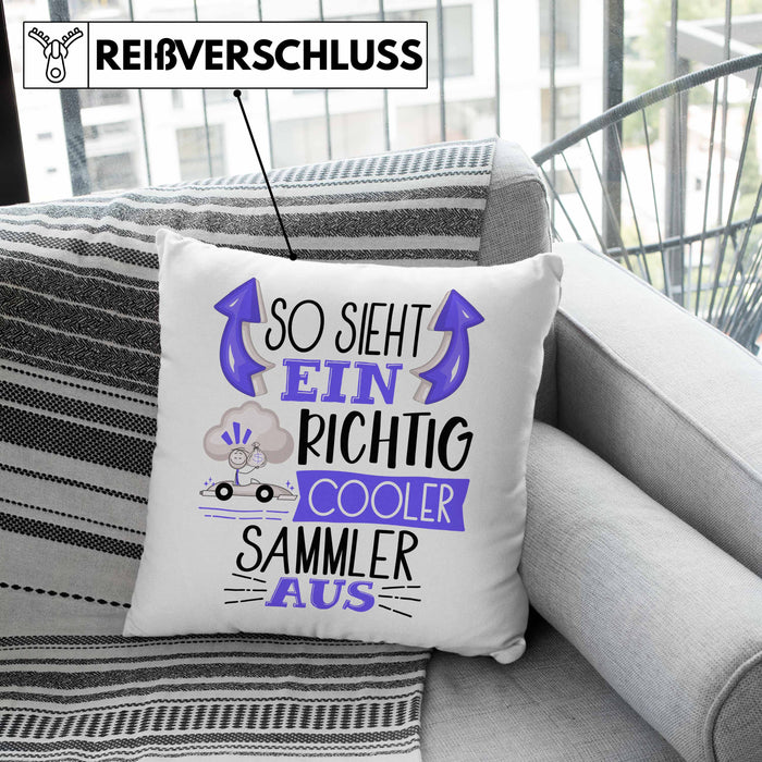 So Sieht Ein Richtig Cooler Sammler Aus Geschenk Kissen mit Füllung 40x40 Lustiger Spruch Geschenkidee (Grau) Grau Trendation