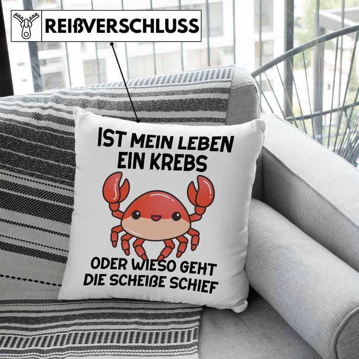 Dank Meme Kissen mit Füllung 40x40 Spruch Internet Meme Geschenkidee Depressionen Ist Mein Leben Ein Krebs Oder Wieso Geht Die SCH Schief? (Grau) Grün Trendation