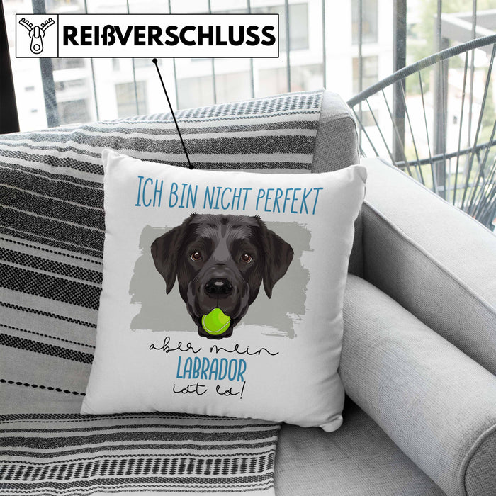 Labrador Besitzer Kissen mit Füllung 40x40 Geschenk Lustiger Spruch Geschenkidee Besitzerin Ich Bin Nicht toll Aber Mein Labrador Ist Es (Grau) Blau Trendation