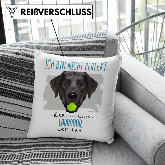 Labrador Besitzer Kissen mit Füllung 40x40 Geschenk Lustiger Spruch Geschenkidee Besitzerin Ich Bin Nicht toll Aber Mein Labrador Ist Es (Grau) Grau Trendation