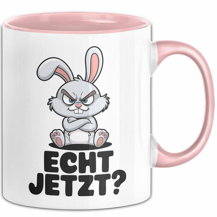 Sarkastische Kaninchen Hase Tasse Geschenk Lustige Geschenkidee Spruch Echt Jetzt Trendation