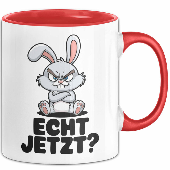 Sarkastische Kaninchen Hase Tasse Geschenk Lustige Geschenkidee Spruch Echt Jetzt Trendation