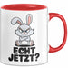 Sarkastische Kaninchen Hase Tasse Geschenk Lustige Geschenkidee Spruch Echt Jetzt Trendation
