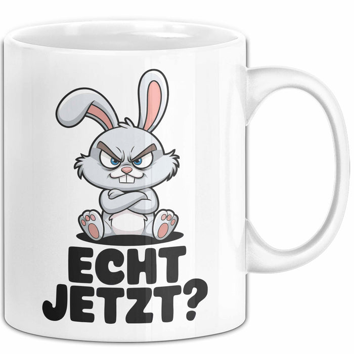 Sarkastische Kaninchen Hase Tasse Geschenk Lustige Geschenkidee Spruch Echt Jetzt Trendation