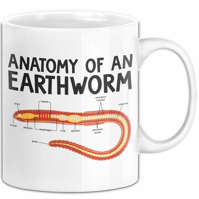 Regenwurm Tasse Geschenk Lustige Geschenkidee Spruch Anatomie Eines Regenwurms Weiß Trendation