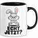 Sarkastische Kaninchen Hase Tasse Geschenk Lustige Geschenkidee Spruch Echt Jetzt Trendation